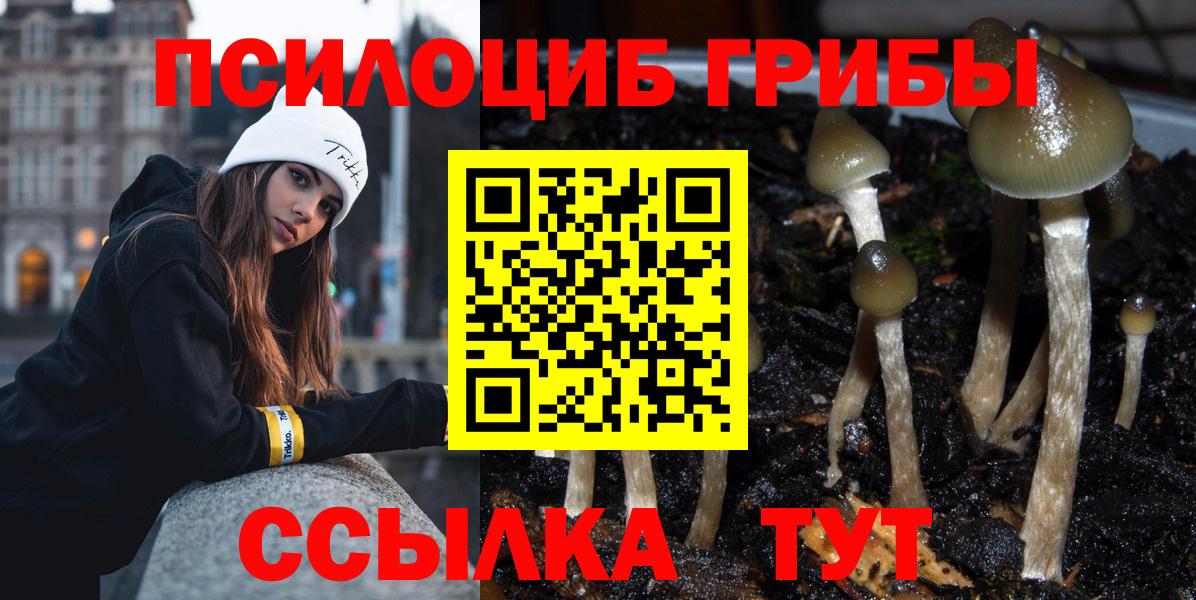 Томск  Псилоцибиновые грибы MAGIC MUSHROOMS  Вход с VPN 